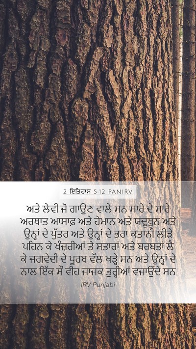 2 ਇਤਿਹਾਸ 5:12 PANIRV Bible Verse Image