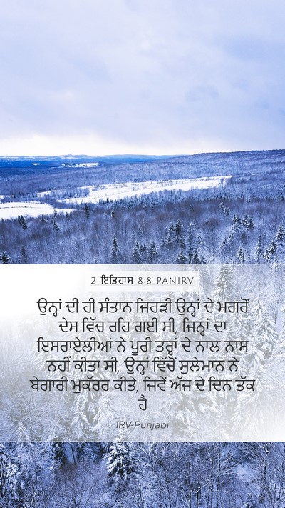 2 ਇਤਿਹਾਸ 8:8 PANIRV Mobile Phone Wallpaper - ਉਨ੍ਹਾਂ ਦੀ ਹੀ ਸੰਤਾਨ - Mobile Bible Verse Wallpaper