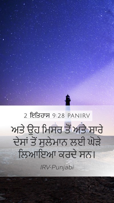 2 ਇਤਿਹਾਸ 9:28 PANIRV Bible Verse Image