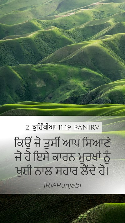 2 ਕੁਰਿੰਥੀਆਂ 11:19 PANIRV Bible Verse Image