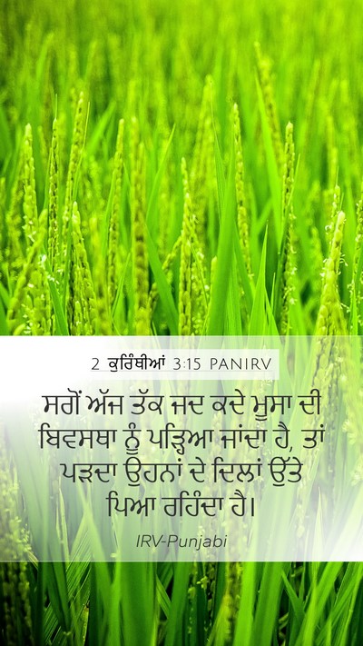 2 ਕੁਰਿੰਥੀਆਂ 3:15 PANIRV Bible Verse Image