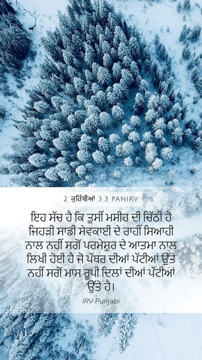 2 ਕੁਰਿੰਥੀਆਂ 3:3 PANIRV Bible Verse Image