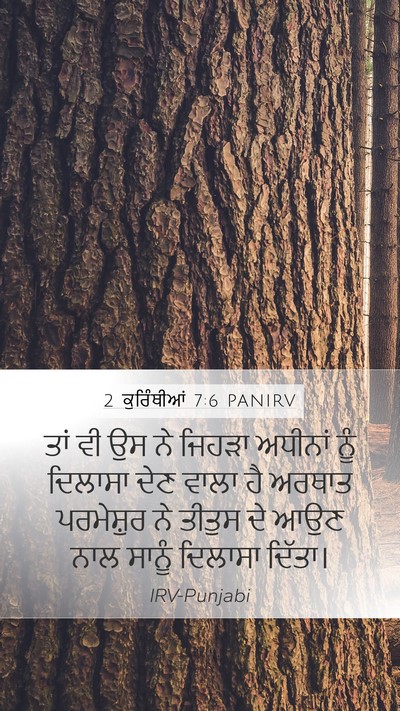 2 ਕੁਰਿੰਥੀਆਂ 7:6 PANIRV Bible Verse Image