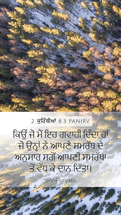 2 ਕੁਰਿੰਥੀਆਂ 8:3 PANIRV Bible Verse Image