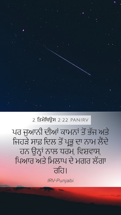 2 ਤਿਮੋਥਿਉਸ 2:22 PANIRV Bible Verse Image