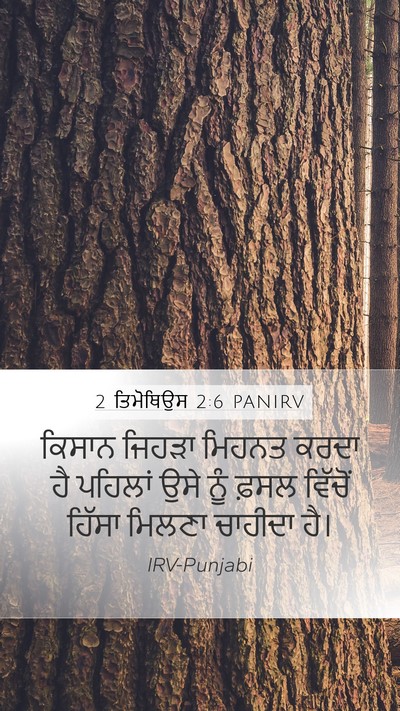 2 ਤਿਮੋਥਿਉਸ 2:6 PANIRV Bible Verse Image