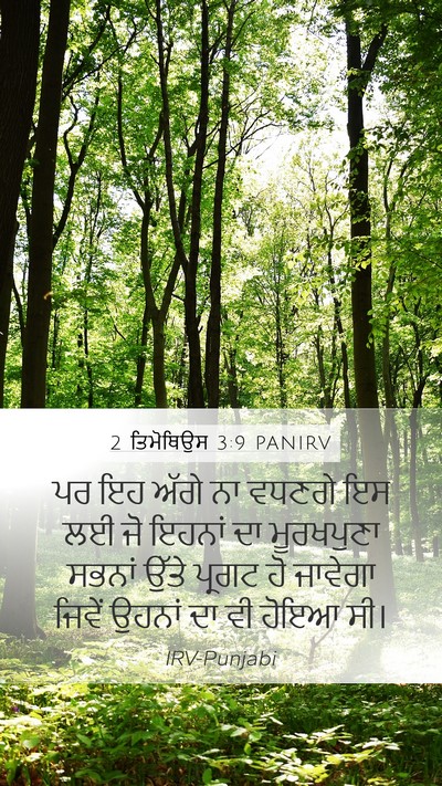 2 ਤਿਮੋਥਿਉਸ 3:9 PANIRV Bible Verse Image