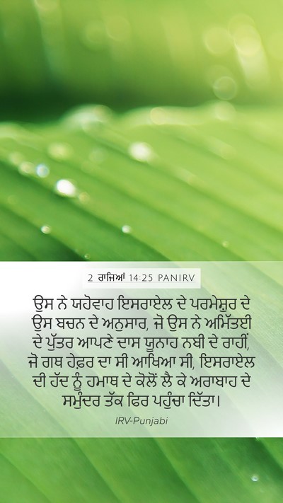 2 ਰਾਜਿਆਂ 14:25 PANIRV Bible Verse Image