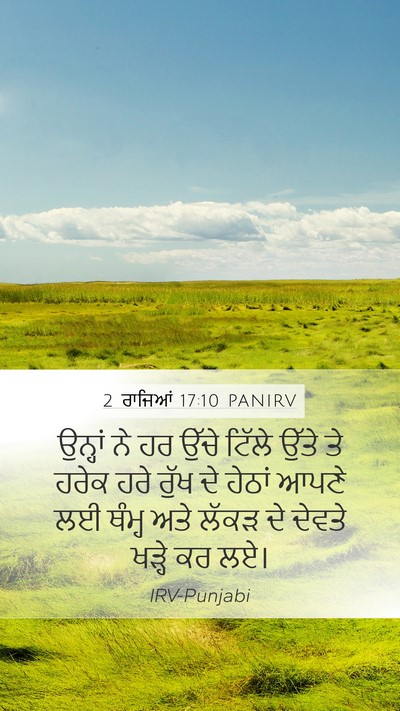 2 ਰਾਜਿਆਂ 17:10 PANIRV Bible Verse Image