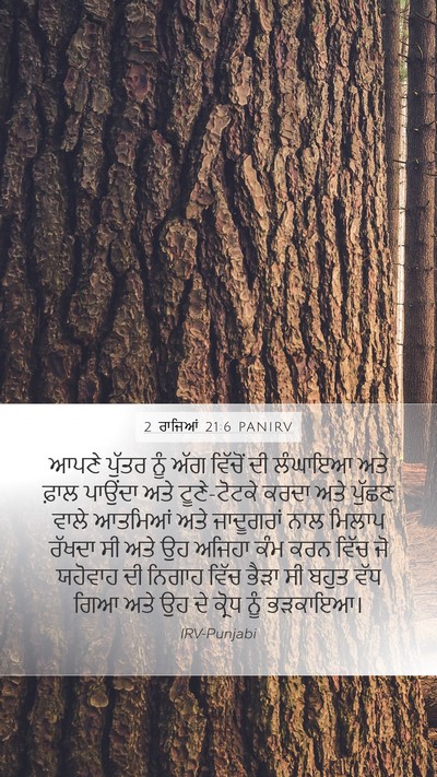 2 ਰਾਜਿਆਂ 21:6 PANIRV Bible Verse Image