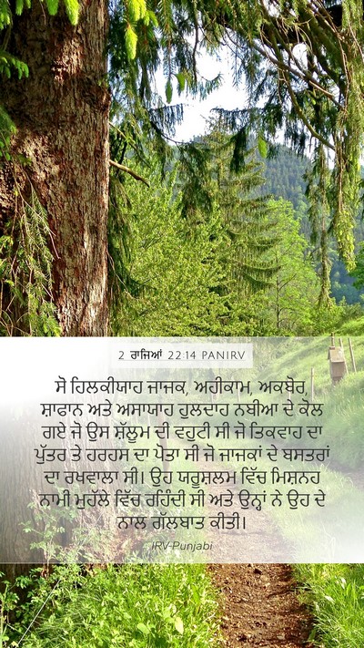 2 ਰਾਜਿਆਂ 22:14 PANIRV Bible Verse Image