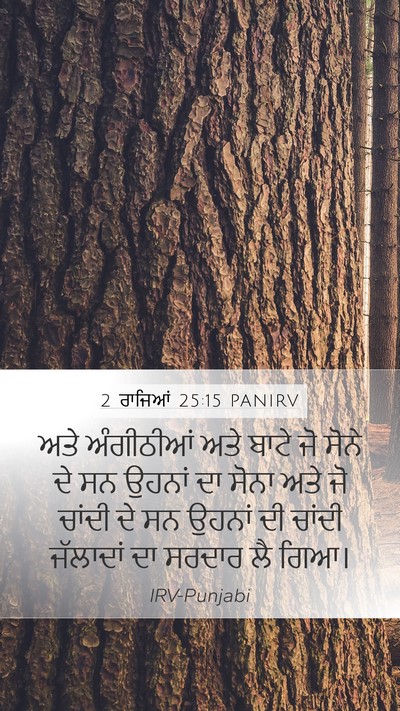 2 ਰਾਜਿਆਂ 25:15 PANIRV Bible Verse Image