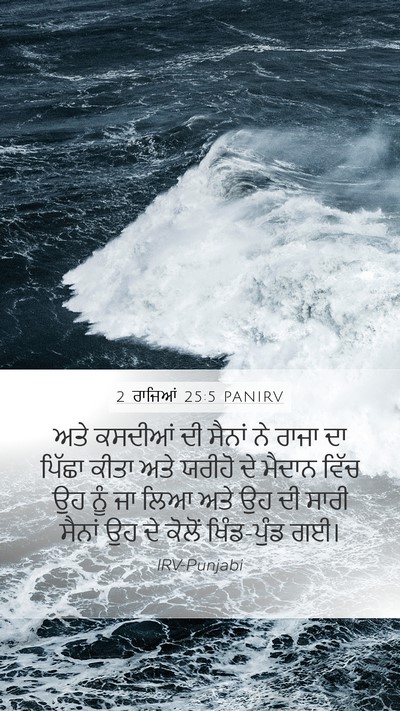 2 ਰਾਜਿਆਂ 25:5 PANIRV Bible Verse Image