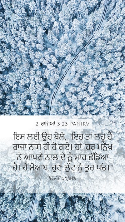 2 ਰਾਜਿਆਂ 3:23 PANIRV Mobile Phone Wallpaper - ਇਸ ਲਈ ਉਹ ਬੋਲੇ, “ਇਹ - Mobile Bible Verse Wallpaper