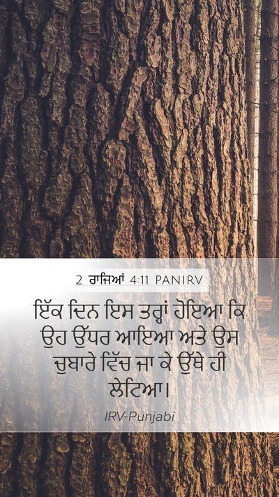 2 ਰਾਜਿਆਂ 4:11 PANIRV Bible Verse Image