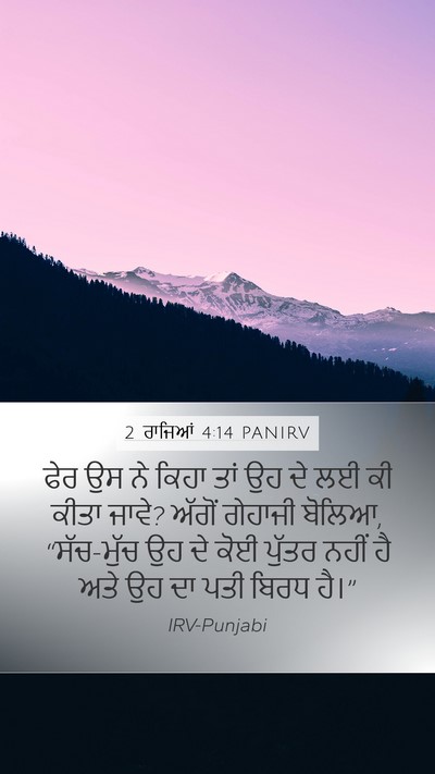 2 ਰਾਜਿਆਂ 4:14 PANIRV Bible Verse Image