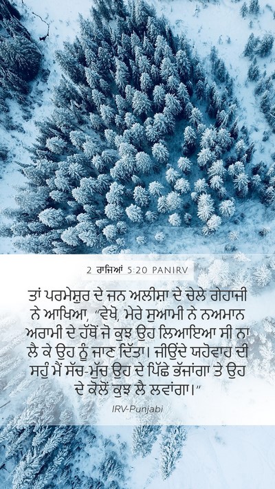 2 ਰਾਜਿਆਂ 5:20 PANIRV Bible Verse Image