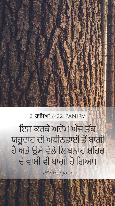 2 ਰਾਜਿਆਂ 8:22 PANIRV Bible Verse Image