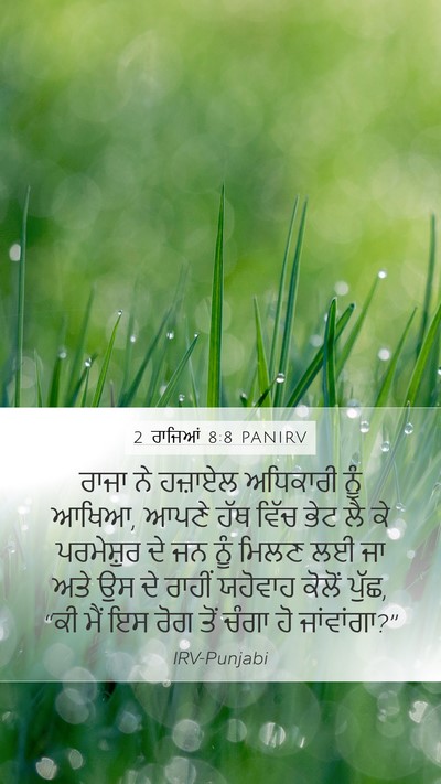 2 ਰਾਜਿਆਂ 8:8 PANIRV Bible Verse Image