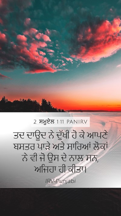 2 ਸਮੂਏਲ 1:11 PANIRV Bible Verse Image