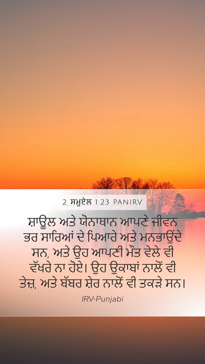 2 ਸਮੂਏਲ 1:23 PANIRV Bible Verse Image
