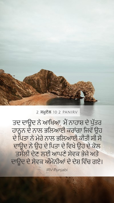 2 ਸਮੂਏਲ 10:2 PANIRV Bible Verse Image