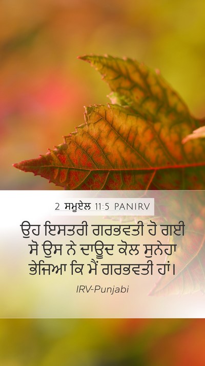 2 ਸਮੂਏਲ 11:5 PANIRV Mobile Phone Wallpaper - ਉਹ ਇਸਤਰੀ ਗਰਭਵਤੀ ਹੋ - Mobile Bible Verse Wallpaper