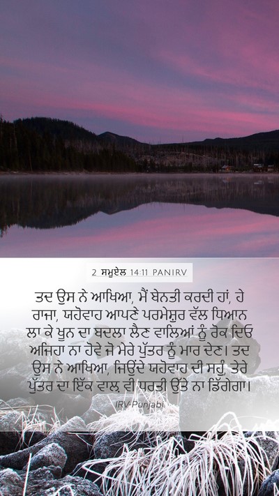 2 ਸਮੂਏਲ 14:11 PANIRV Bible Verse Image