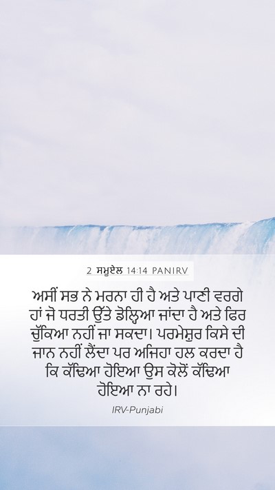 2 ਸਮੂਏਲ 14:14 PANIRV Bible Verse Image