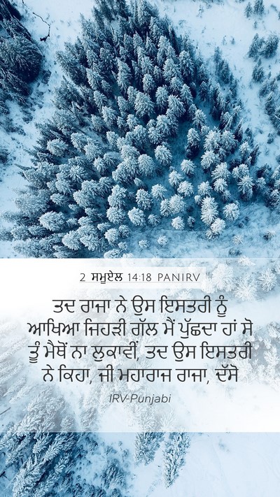 2 ਸਮੂਏਲ 14:18 PANIRV Mobile Phone Wallpaper - ਤਦ ਰਾਜਾ ਨੇ ਉਸ ਇਸਤਰੀ - Mobile Bible Verse Wallpaper