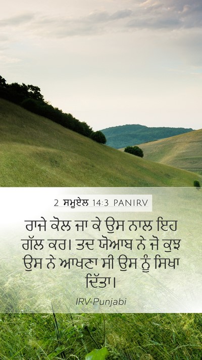 2 ਸਮੂਏਲ 14:3 PANIRV Bible Verse Image