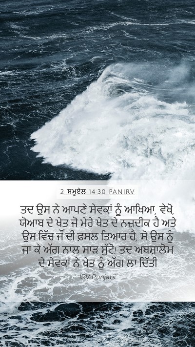 2 ਸਮੂਏਲ 14:30 PANIRV Bible Verse Image