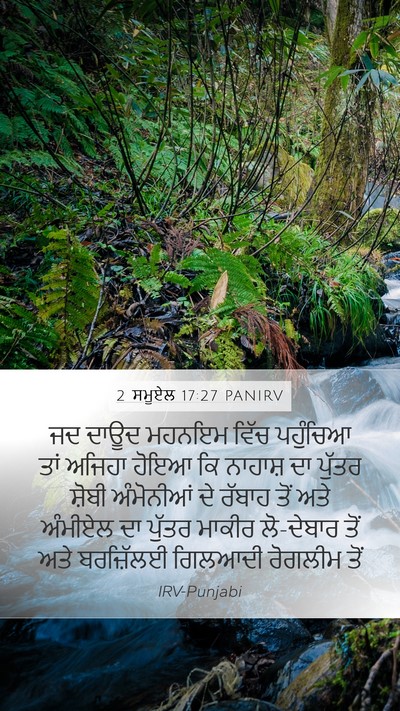 2 ਸਮੂਏਲ 17:27 PANIRV Bible Verse Image