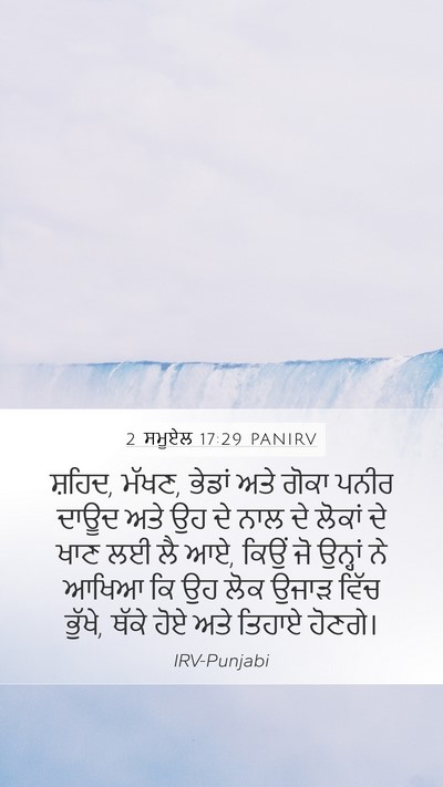 2 ਸਮੂਏਲ 17:29 PANIRV Bible Verse Image