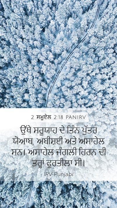 2 ਸਮੂਏਲ 2:18 PANIRV Bible Verse Image