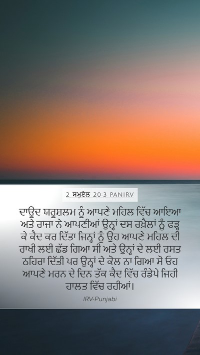 2 ਸਮੂਏਲ 20:3 PANIRV Bible Verse Image