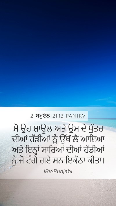 2 ਸਮੂਏਲ 21:13 PANIRV Mobile Phone Wallpaper - ਸੋ ਉਹ ਸ਼ਾਊਲ ਅਤੇ ਉਸ - Mobile Bible Verse Wallpaper