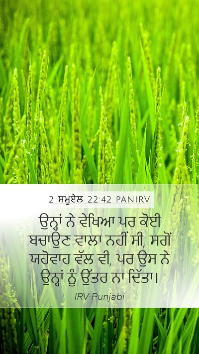 2 ਸਮੂਏਲ 22:42 PANIRV Bible Verse Image