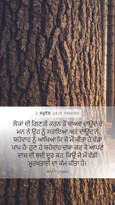 2 ਸਮੂਏਲ 24:10 PANIRV Bible Verse Image
