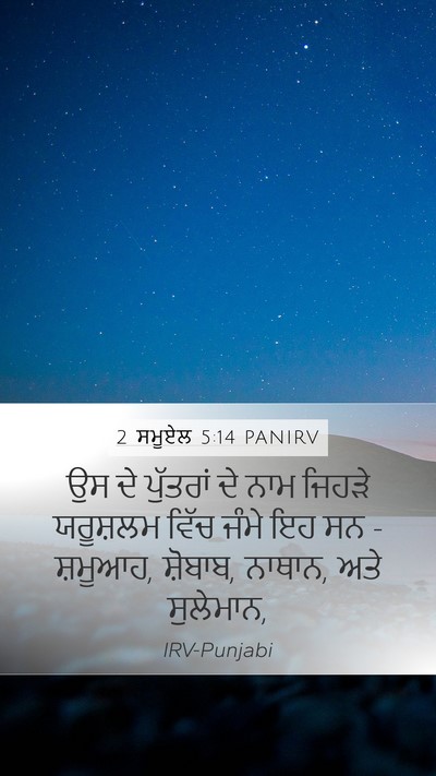 2 ਸਮੂਏਲ 5:14 PANIRV Bible Verse Image