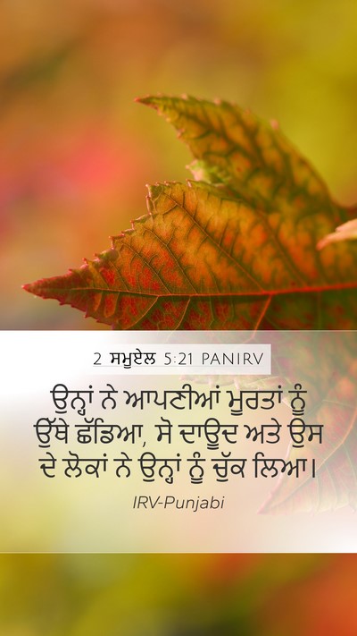 2 ਸਮੂਏਲ 5:21 PANIRV Bible Verse Image