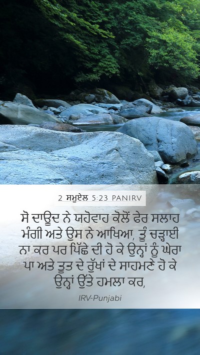 2 ਸਮੂਏਲ 5:23 PANIRV Bible Verse Image