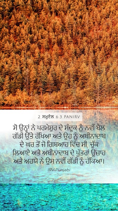 2 ਸਮੂਏਲ 6:3 PANIRV Bible Verse Image