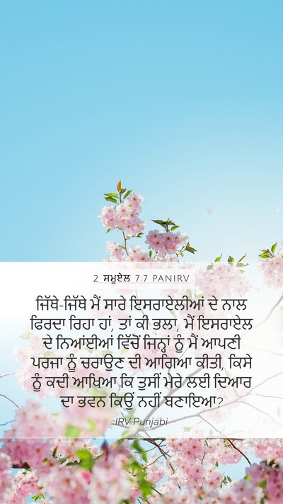 2 ਸਮੂਏਲ 7:7 PANIRV Bible Verse Image