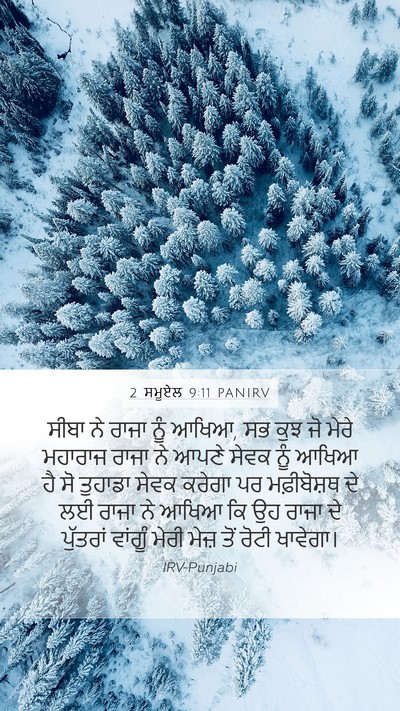2 ਸਮੂਏਲ 9:11 PANIRV Bible Verse Image