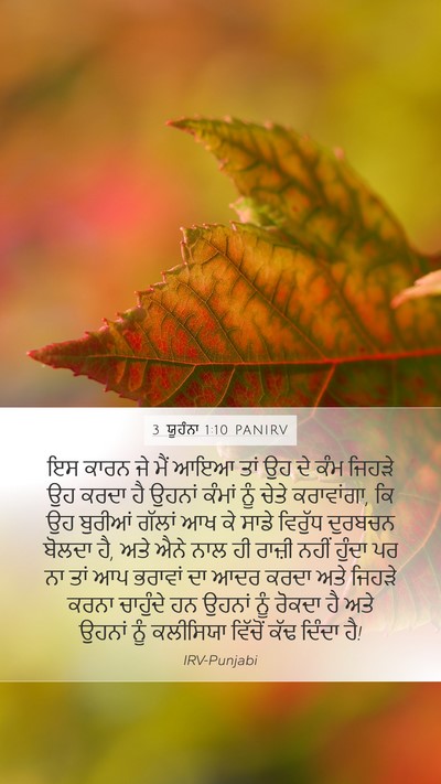 3 ਯੂਹੰਨਾ 1:10 PANIRV Bible Verse Image