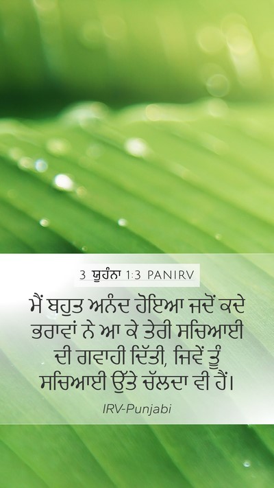 3 ਯੂਹੰਨਾ 1:3 PANIRV Bible Verse Image
