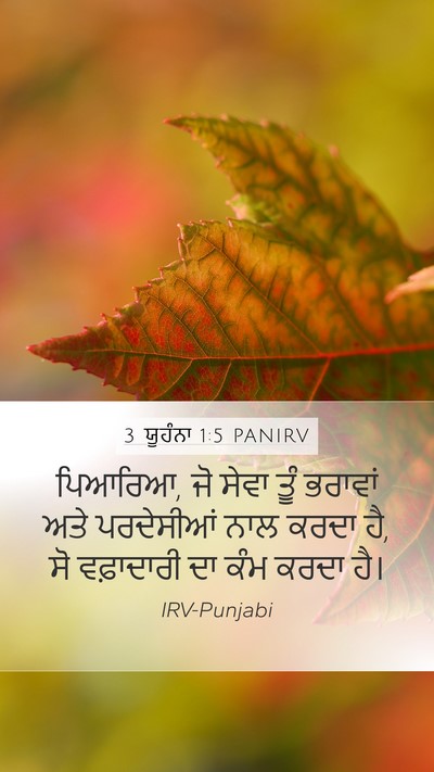 3 ਯੂਹੰਨਾ 1:5 PANIRV Bible Verse Image