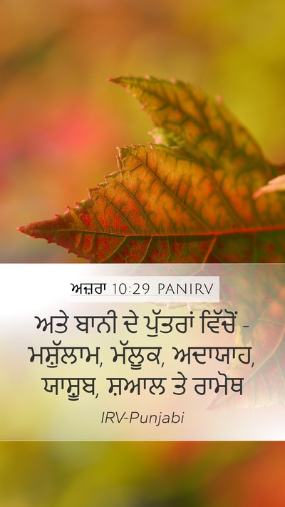 ਅਜ਼ਰਾ 10:29 PANIRV Bible Verse Image