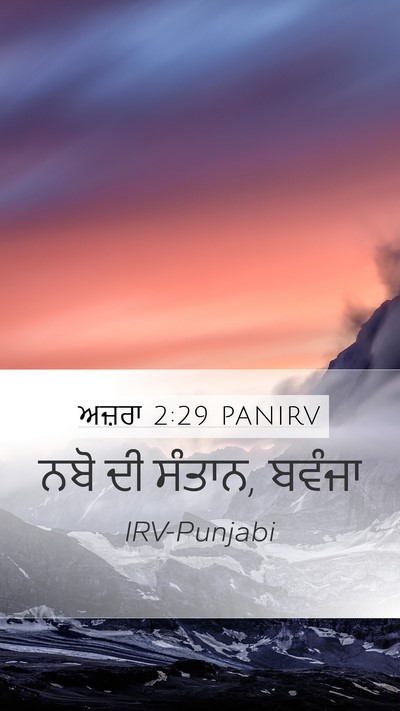 ਅਜ਼ਰਾ 2:29 PANIRV Bible Verse Image